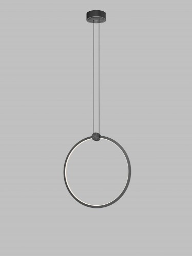 circola-1.jpg