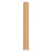 pol_pl_Plafon-KARBON-60-zloty-4050_1.webp