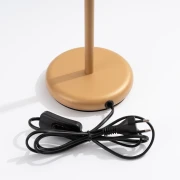 pol_pl_Lampa-biurkowa-KARBON-zlota-3974_11.webp