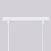 pol_pl_Lampa-wiszaca-KARBON-2-bialy-4032_11.webp