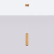 pol_pl_Lampa-wiszaca-KARBON-1-zloty-4038_5.webp
