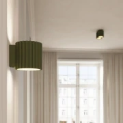 pol_pl_Plafon-AURA-1-zielony-oliwkowy-GU10-5625_4.webp