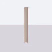 pol_pl_Plafon-KARBON-60-taupe-5581_5.webp
